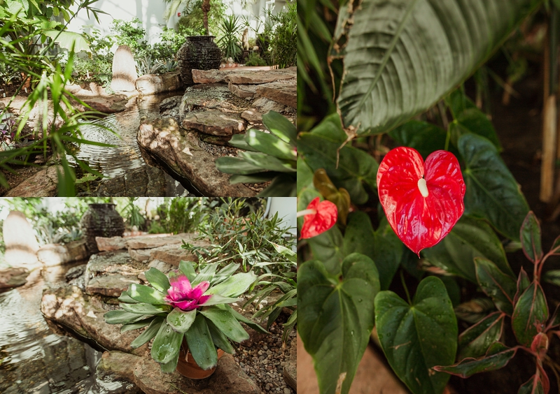 Love & Honey Photography-2895