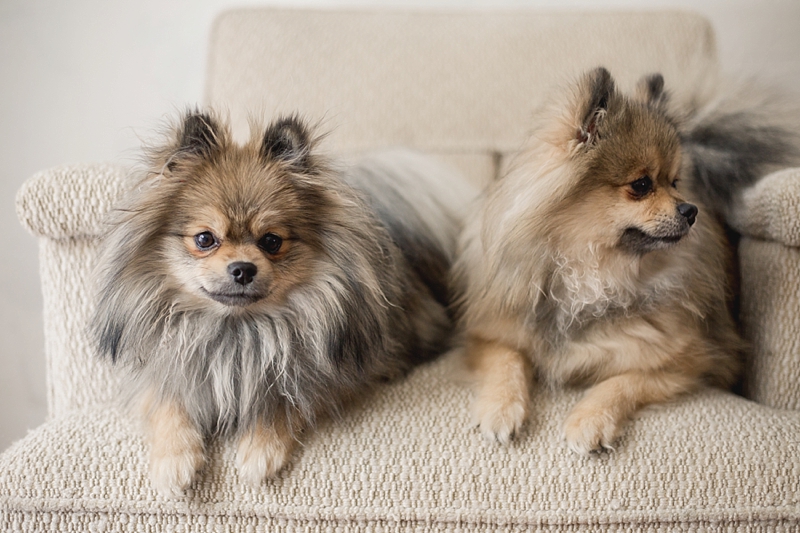 Love & Honey Photography-2734