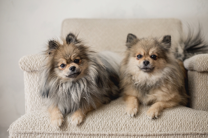 Love & Honey Photography-2740