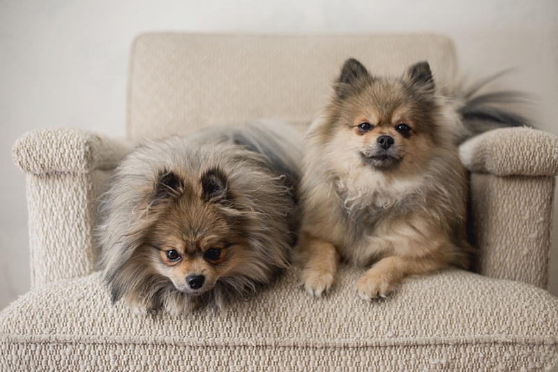 Love & Honey Photography-2752