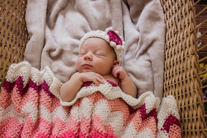 Love & Honey Photography-2024